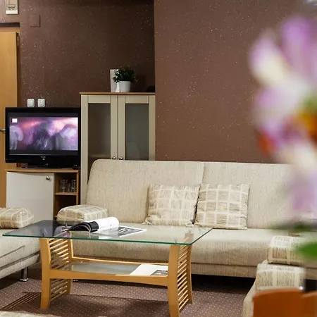 Hotel Brod - Free Parking-2