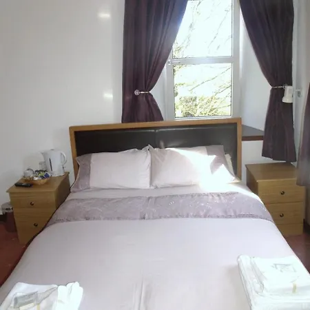 The Brown Trout Hotel-3