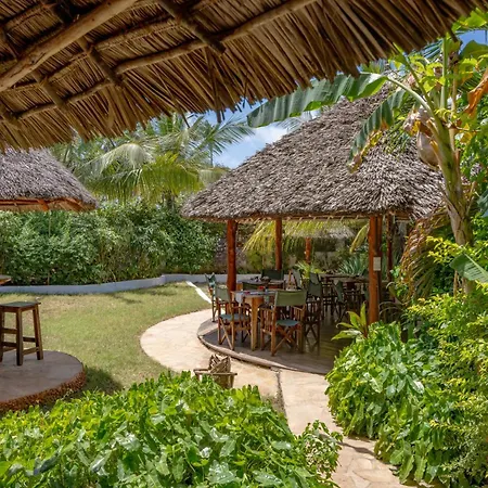 Maisha Nungwi - Boutique Hotel-2