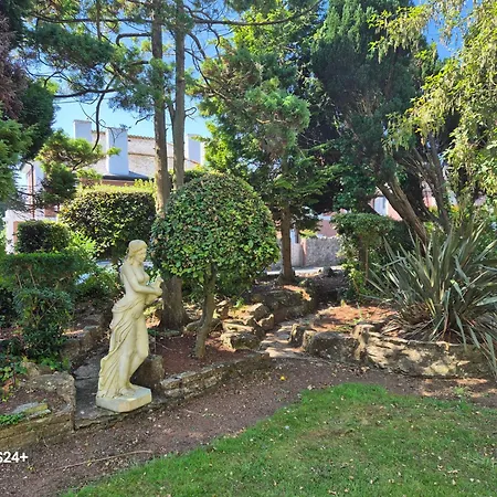 Trecarn Hotel-3