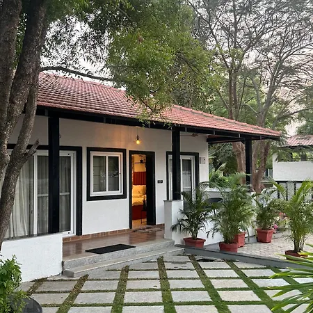 Button Eyes Resort - Pet Friendly-3