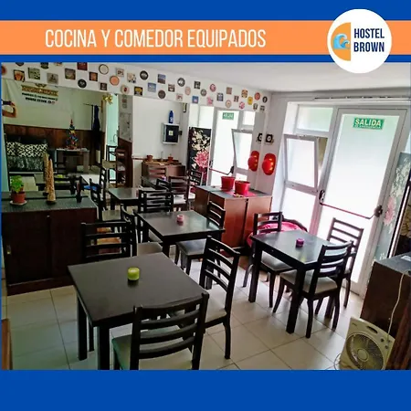 Hostel Brown-2