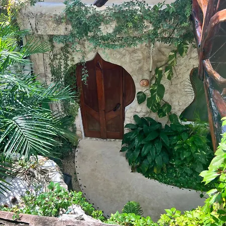 La Quinta Orquídea-2