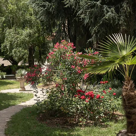 Residence Midi-2