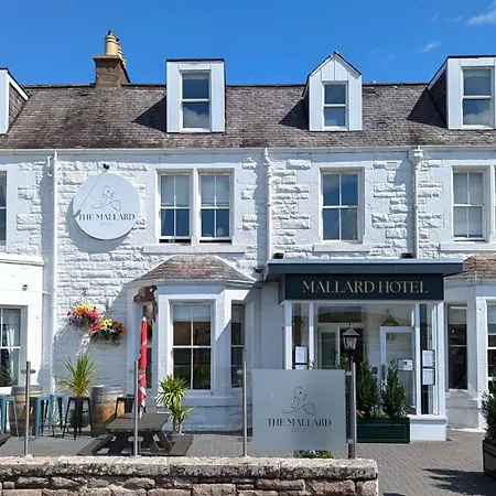 The Mallard Hotel-3