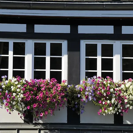 Haus Hochstein-2
