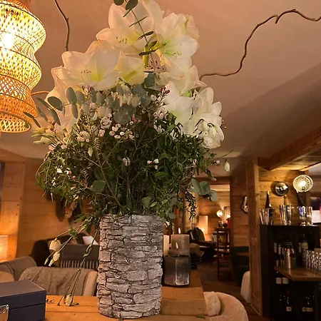 Everest Hotel-3