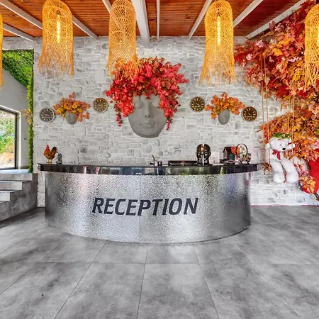 Illusion Beach & Clubhotel - Adults Only-2