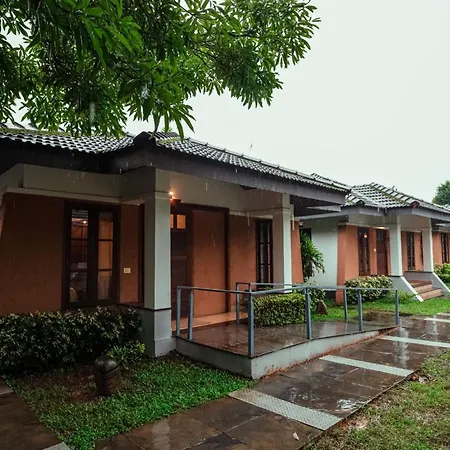 Misty Grove Resort Hotel-3