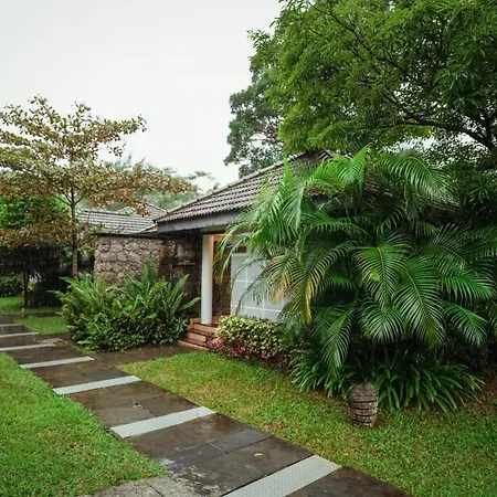 Misty Grove Resort Hotel-2