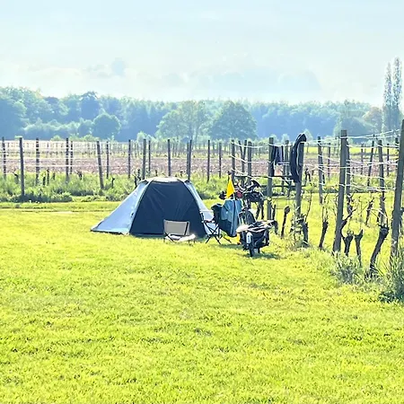 Erve Zonnehoeve B&B en Wijngaard-2
