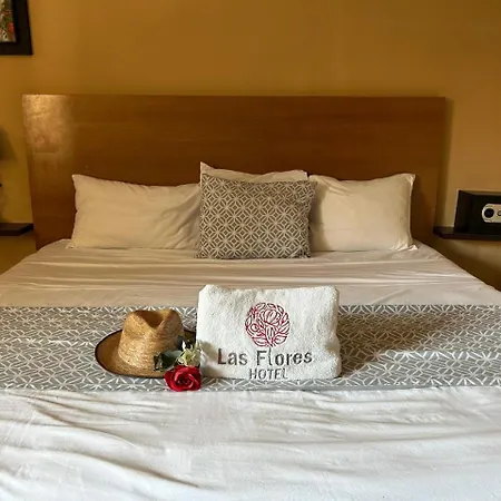 Hotel Las Flores Campeche-3