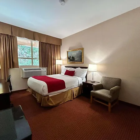 Surestay By Best Western Richmond Vancouver Airport-3