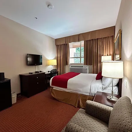 Surestay By Best Western Richmond Vancouver Airport-2