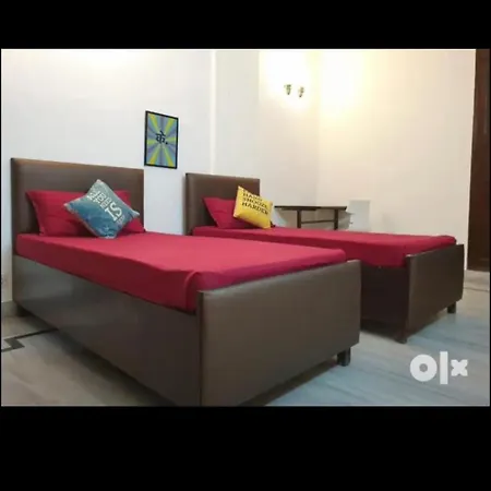 Hotel Shri Krishna Inn-2