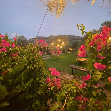 Suzi'nin Bahçesi Bungalov Evler-2