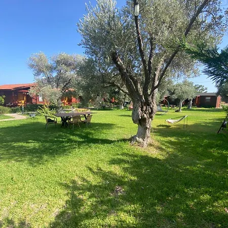Suzi'nin Bahçesi Bungalov Evler-3