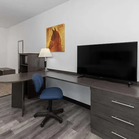 Days Inn & Suites By Wyndham Lubbock Medical Center-3