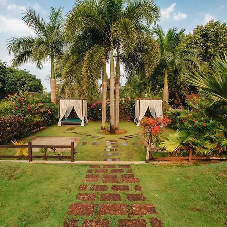 Stone Wood Resort, Mandrem-2