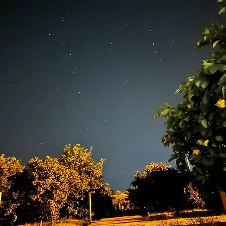 Naseem Country House-3