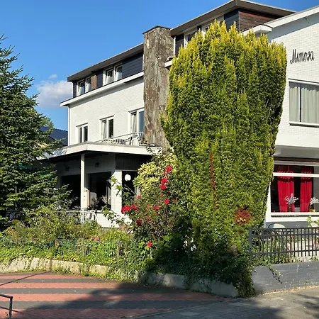 Mimosa Hotel-2