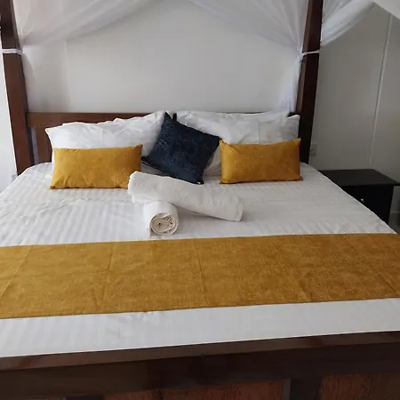 Serenity Cove-2