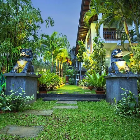 Arcadia Resort-2