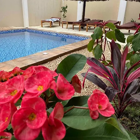 Peace And Color Limited Guest House-3