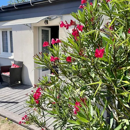 La fleur des marais-3