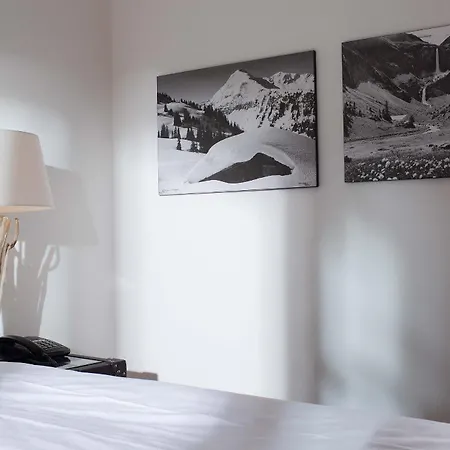 Hotel Des Alpes Superieur-3