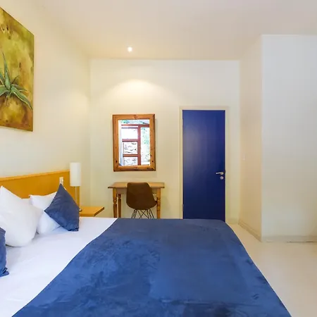 Lezard Bleu Guest House-3