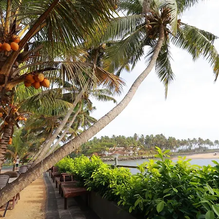 Lagoona Beach Resort, Kovalam-2