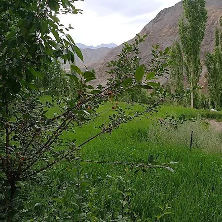 Green Land Guest House Ladakh By Lexstays-2
