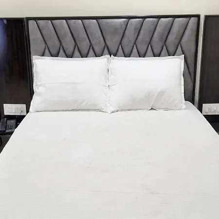 Hotel Padma Vista Nellore Near Bus Stop-3