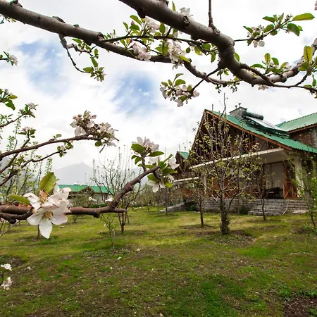 Larisa Resort Manali-3