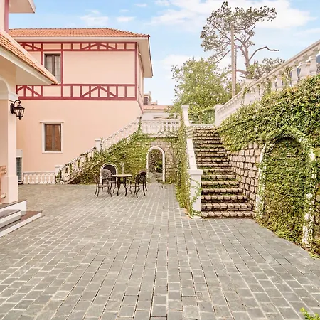 Boutique Villa 22 - Biet Thu Trung Tam Da Lat-3