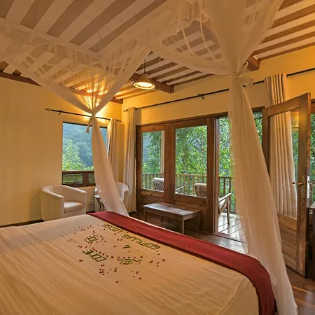 Four Gorillas Lodge-2