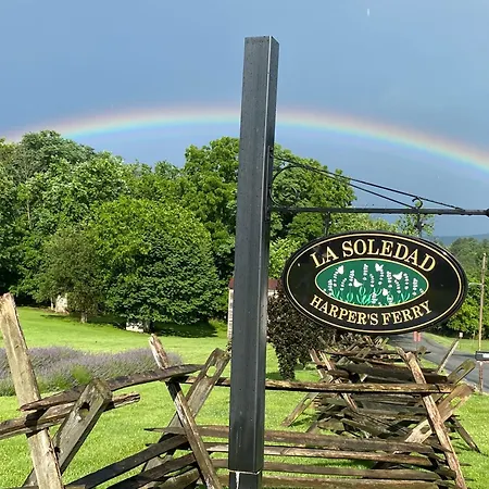 La Soledad Lavender Farm And Guesthouse-2