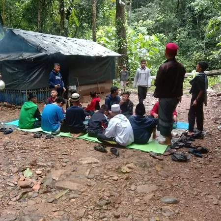 Sawah Resto Bungalow & Jungle Trekking-3