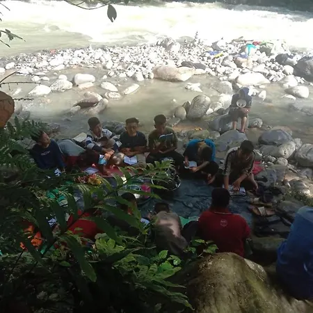 Sawah Resto Bungalow & Jungle Trekking-2