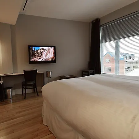 St James Gate By Bower Boutique Hotels-3