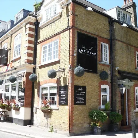 The Stag Enfield-2
