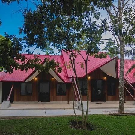 Manish Hotel Ecologico-3