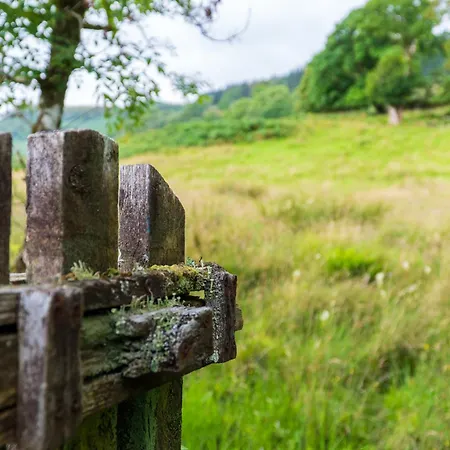 Killean Farmhouse B&B-2