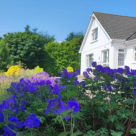 Happy Hill Guesthouse-3