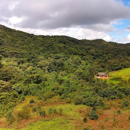 Coorg Tree House-2