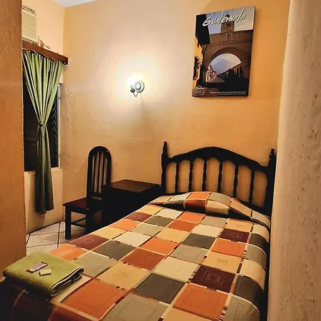 Hotel La Jungla-3