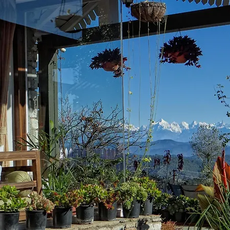 The Birdcage, Mukteshwar-2