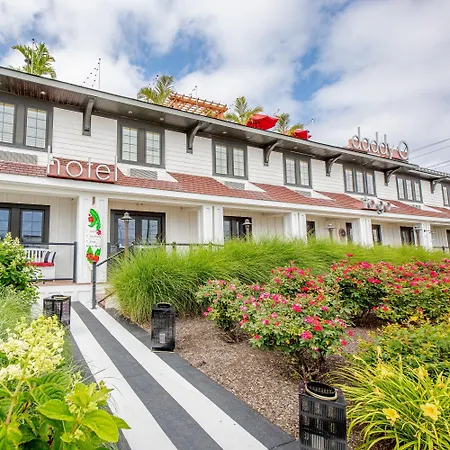 Daddy O Hotel-3