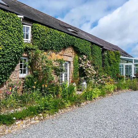 Nant Yr Odyn Country Hotel & Restaurant Ltd-3